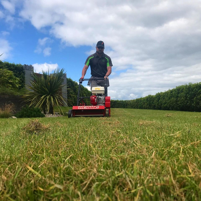 WEIBANG WB486CRB WERTYKULATOR SPALINOWY DO TRAWY PROFI PROFESJONALNY Briggs&Stratton WB486 / WB 486 -  EWIMAX - OFICJALNY DYSTRYBUTOR - AUTORYZOWANY DEALER WEIBANG