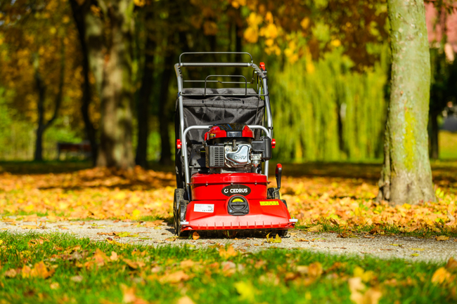 CEDRUS LV58 S PROFESSIONAL CLEANER + 4in1 SPRINEL LEAF VERTICULATOR 4in1 GARDEN DRIVE ROAD DRIVER 2in1 LV58S - OFFICIAL DISTRIBUTOR - AUTHORIZED DEALER CEDRUS