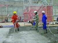CEDRUS WT01 DIESEL VIBRATORY BUZZER PLUNGE CONCRETE COMPACTOR - EWIMAX - OFFICIAL DISTRIBUTOR - AUTHORIZED CEDRUS DEALER