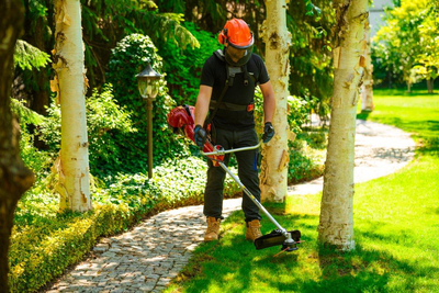 CEDRUS WK430X PETROL GRASS TRIMMER MOWER 1.8 KM EWIMAX - OFFICIAL DISTRIBUTOR - AUTHORIZED CEDRUS DEALER