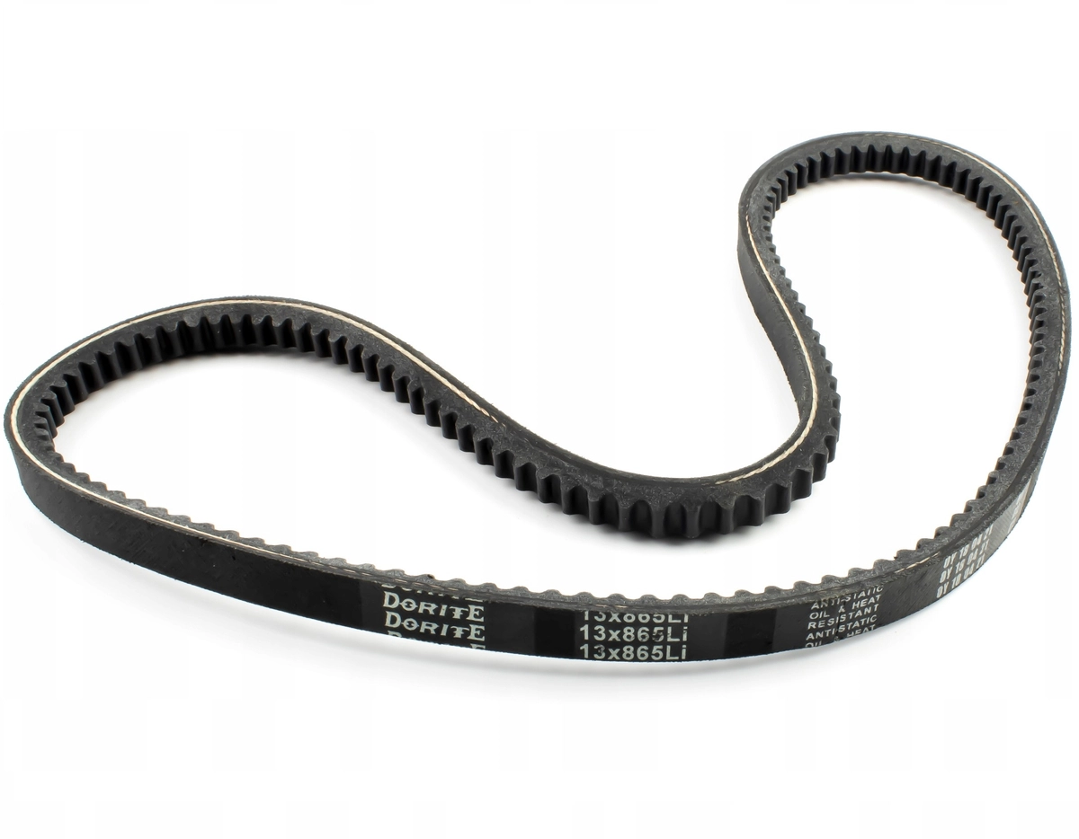 CEDRUS RB02 CHIPPER TOOTHED BELT 500057 | 16,20 € | Ewimax.en