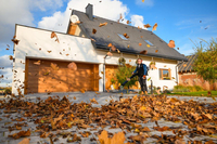 CEDRUS DM05 PRO PROFESSIONAL GARDEN LEAF BLOWER VACUUM CLEANER - OFFICIAL DISTRIBUTOR - AUTHORIZED CEDRUS DEALER