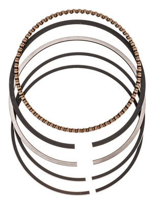 Cedrus scarifier WR01 piston rings 15200-E030030-000I0