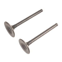 Rato valves R300 engine R210Di 12110-Z810120-00A9