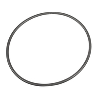 CEDRUS body seal ST01 foot 070548