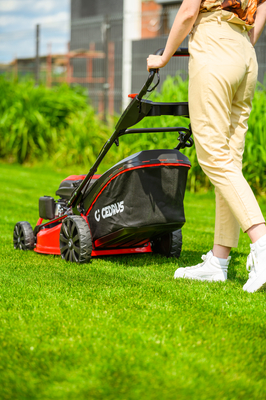 CEDRUS KS53S MOTORIZOVANÁ SEKÁČKA NA VÍNU 53cm / 5,7 HP - EWIMAX - OFICIÁLNÍ DISTRIBUTOR - AUTORIZOVANÝ PRODEJCE CEDRUS