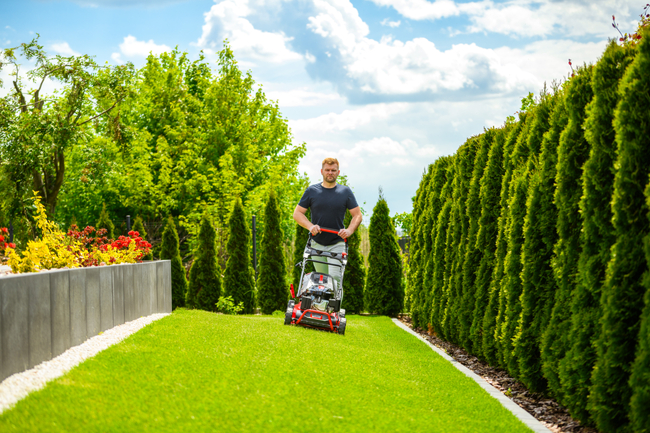 CEDRUS KS53S-L SPRINAL MOWER WITH LONCIN MOTOR LC1P70FC 53cm / 6,5 HP - EWIMAX - OFFICIAL DISTRIBUTOR - AUTHORIZED DEALER CEDRUS