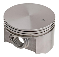 Cedrus Y196V 480522 piston