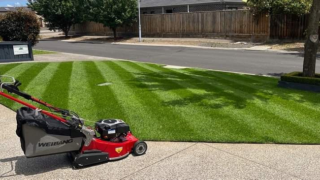 WEIBANG WB567SK V-R MOTORIZED VINE MOWER WITH DRIVE AND RECYCLING ROLL 6HP / 56cm - OFFICIAL DISTRIBUTOR - AUTHORIZED WEIBANG DEALER