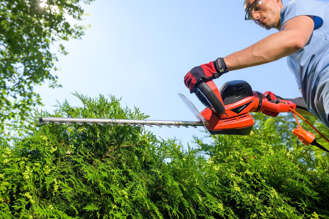 FAWORYT NEC750R ELECTRICITY CRIMBERRY SHOOTER 750W / 55cm