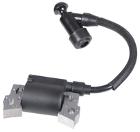 Modul zapalování motoru Cedrus Y170V 484116