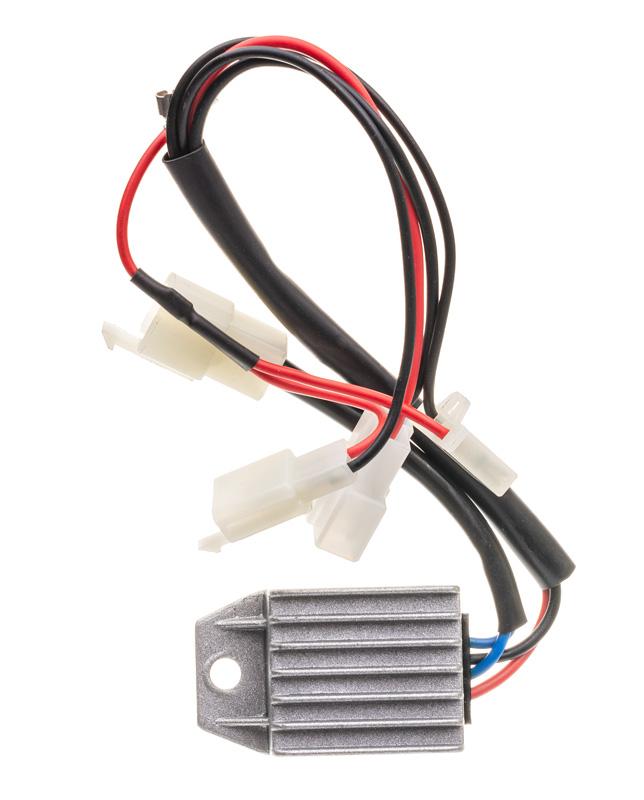 Regulator napięcia B&S Powersmart P3000