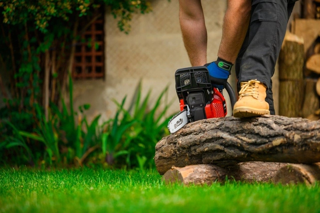 CEDRUS PS50-18T PETROL CHAIN SAW OREGON 3 KM - EWIMAX - OFFICIAL DISTRIBUTOR - AUTHORIZED CEDRUS DEALER