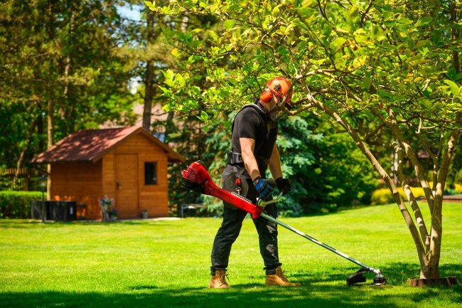 CEDRUS WK430X PETROL GRASS TRIMMER MOWER 1.8 KM EWIMAX - OFFICIAL DISTRIBUTOR - AUTHORIZED CEDRUS DEALER