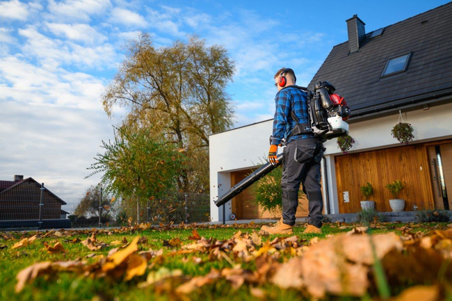 CEDRUS DM05 ODKURZACZ  DMUCHAWA SPALINOWA OGRODOWA DO LIŚCI DM05PRO PROFESJONALNY - OFICJALNY DYSTRYBUTOR - AUTORYZOWANY DEALER CEDRUS