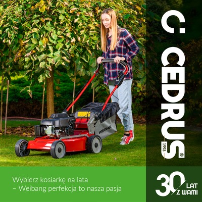WEIBANG WB456 SC VE 3IN1 KOSIARKA SPALINOWA DO TRAWY Z NAPĘDEM I ROZRUSZNIKIEM 46cm / 2,5 kW  - EWIMAX - OFICJALNY DYSTRYBUTOR - AUTORYZOWANY DEALER CEDRUS