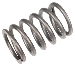 Valve spring Rato engine R300 12103-Z730110-0099