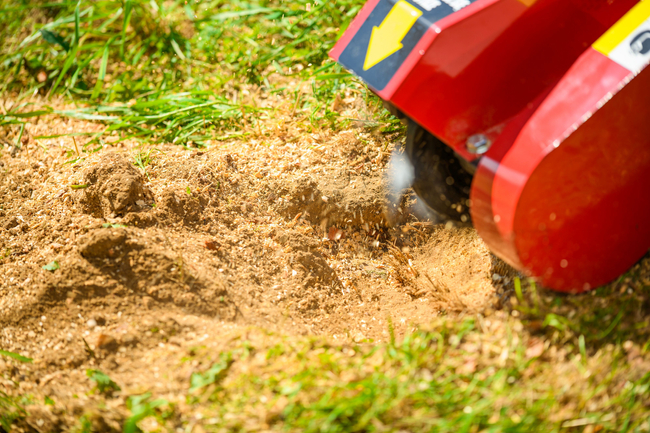 CEDRUS FR01 ROOT PLANTER TREE GRUBBER 15 KM - EWIMAX - OFFICIAL DISTRIBUTOR - AUTHORIZED CEDRUS DEALER