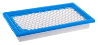 B&S 4 HP VANGUARD horizontal OHV air filter 8R02-19