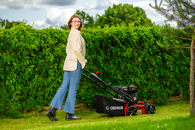 CEDRUS WR01 2v1 5,5 hp SPRINÁLNÍ VERTIKULÁTOR AREATOR 2v1 - EWIMAX - OFICIÁLNÍ DISTRIBUTOR - AUTORIZOVANÝ PRODEJCE CEDRUS