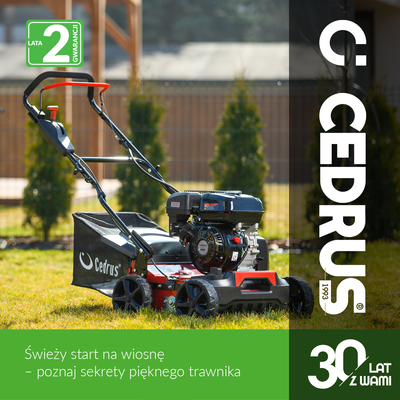 CEDRUS WR01 WERTYKULATOR SPALINOWY DO TRAWY AREATOR 2w1 5.5 KM - EWIMAX - OFICJALNY DYSTRYBUTOR - AUTORYZOWANY DEALER CEDRUS