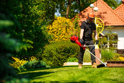 CEDRUS WK430X PETROL GRASS TRIMMER MOWER 1.8 KM EWIMAX - OFFICIAL DISTRIBUTOR - AUTHORIZED CEDRUS DEALER