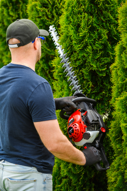 CEDRUS NZ02 SEKATOR SPRINEL SHARPS FOR CRIMINAL TREE AND TREE SHrubs SPRINEL HARVES 61cm - EWIMAX - OFFICIAL DISTRIBUTOR - AUTHORIZED DEALER CEDRUS