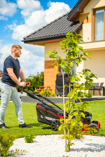 CEDRUS KS53S-L KOSIARKA SPALINOWA DO TRAWY Z NAPĘDEM LONCIN LC1P70FC 53cm / 6,5 KM - EWIMAX - OFICJALNY DYSTRYBUTOR - AUTORYZOWANY DEALER CEDRUS
