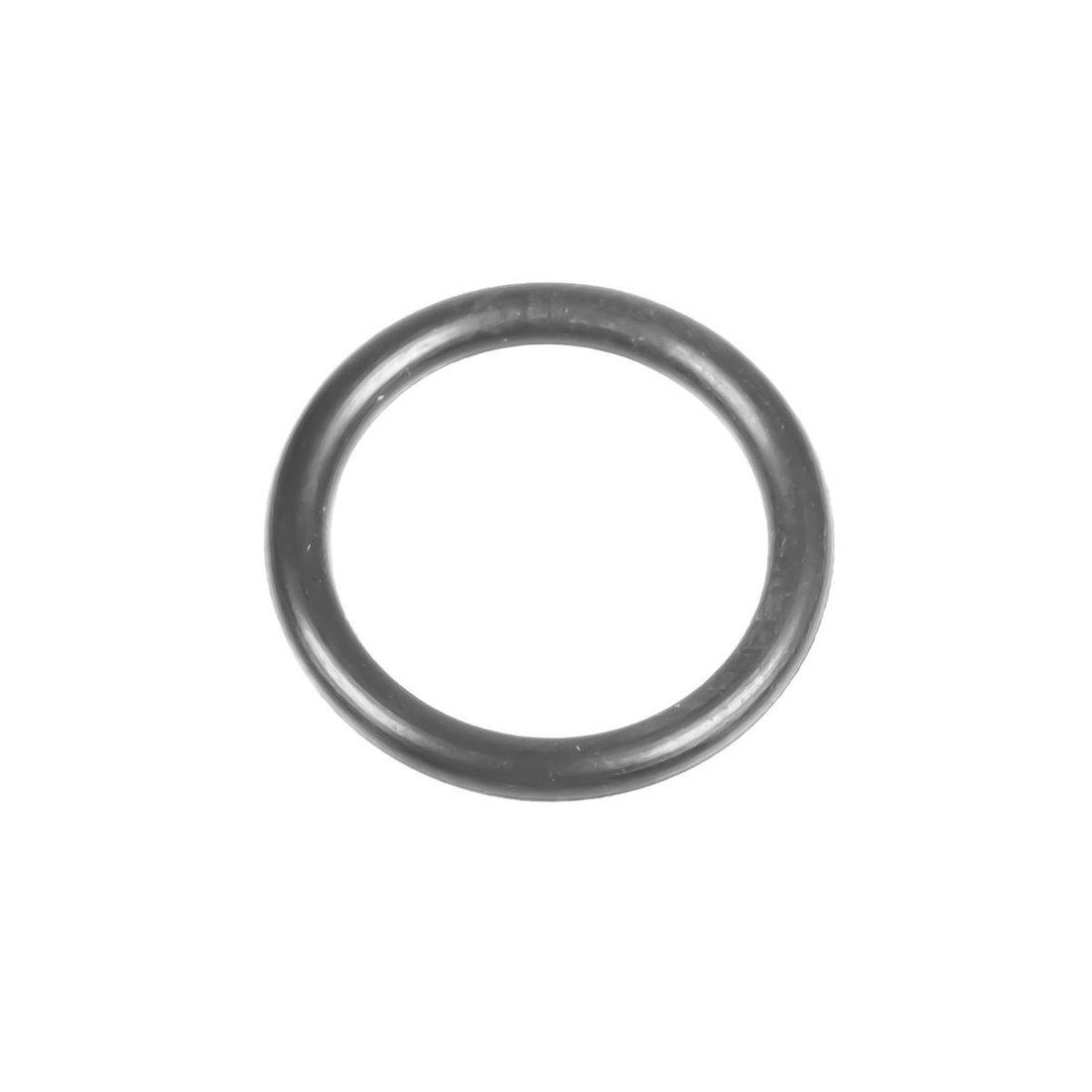 Oring Cedrus do myjki ciśnieniowej MC110 560169 – widok produktu