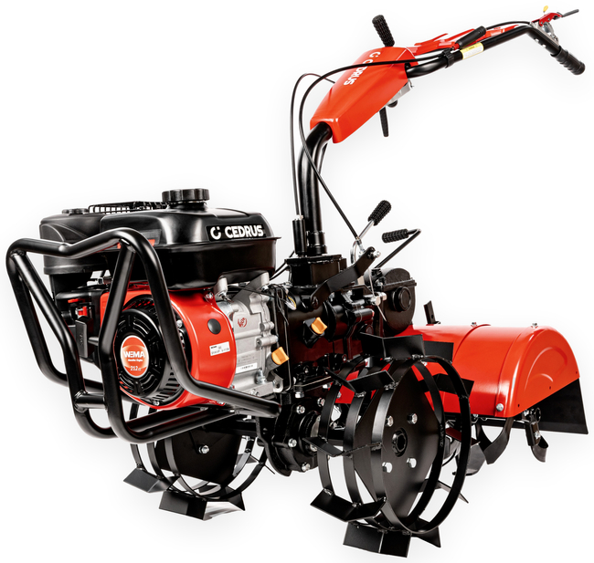 CEDRUS GLX640 SPRINIONAL GARDEN PLOTTILLER 5.5 HP / 62cm Weima 170F/P GLX 640 - EWIMAX - OFFICIAL DISTRIBUTOR - AUTHORIZED DEALER CEDRUS