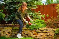 Nożyce akumulatorowe Cedrus CEDGS100LI CEDGS100LI