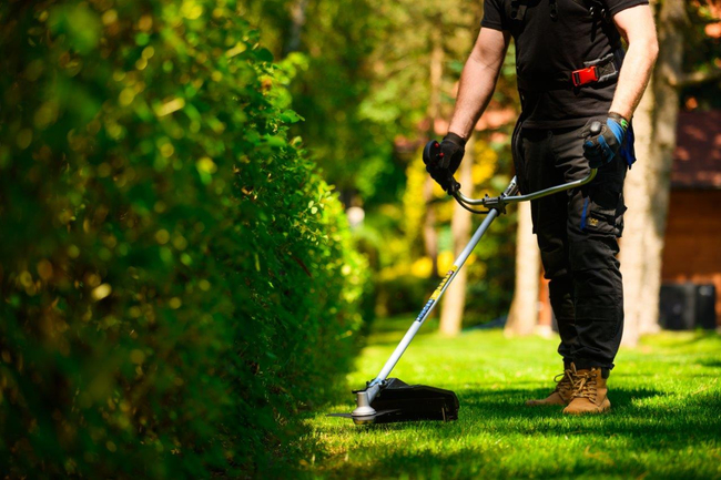 CEDRUS WK330 PETROL GRASS TRIMMER MOWER 1.2 KM EWIMAX-OFFICIAL DISTRIBUTOR - AUTHORIZED CEDRUS DEALER