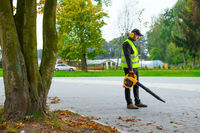 CEDRUS DM03 2v1 SPRINNER GARDEN CLEANER - OFICIÁLNÍ DISTRIBUTOR - AUTORIZOVANÝ PRODEJCE CEDRUS