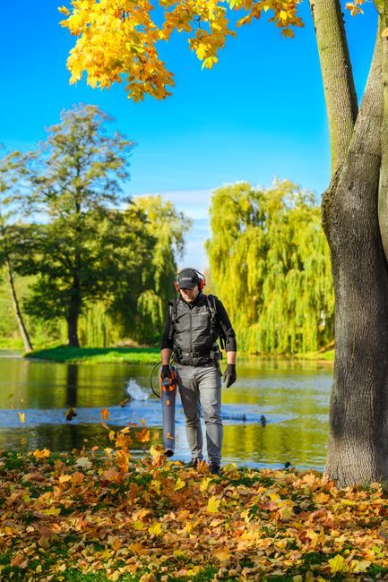 Cedrus BL210-P Dmuchawa akumulatorowa Cedrus 60V BL210-P, bez aku i ładowarki CEDBL210-P