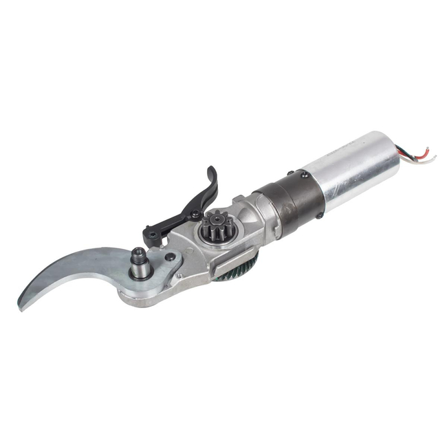 Cedrus transmission cordless pruner CEDBP30Li 580837