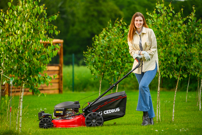 CEDRUS KS51S-H-ZT HONDA 5in1 SPRINEL MOWER WITH DRIVE 51cm / 4.6 HP HONDA GCV170 - EWIMAX - OFFICIAL DISTRIBUTOR - AUTHORIZED DEALER CEDRUS