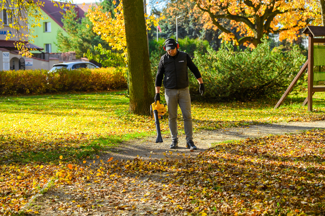 CEDRUS DM03 2-in-1 GARDEN SPRINAL VACUUM CLEANER - OFFICIAL DISTRIBUTOR - AUTHORIZED DEALER CEDRUS