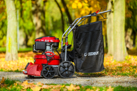 CEDRUS LV58 S PROFESSIONAL CLEANER + 4in1 SPRINEL LEAF VERTICULATOR 4in1 GARDEN DRIVE ROAD DRIVER 2in1 LV58S - OFFICIAL DISTRIBUTOR - AUTHORIZED DEALER CEDRUS