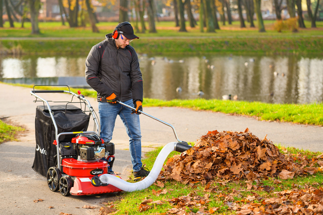 CEDRUS LV58 S PROFESSIONAL CLEANER + 4in1 SPRINEL LEAF VERTICULATOR 4in1 GARDEN DRIVE ROAD DRIVER 2in1 LV58S - OFFICIAL DISTRIBUTOR - AUTHORIZED DEALER CEDRUS