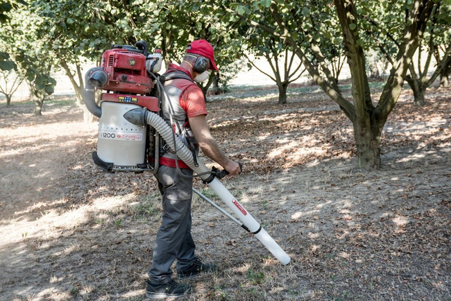 CIFARELLI V1200B CHESTNUT ACORN VACUUM CLEANER DIESEL PROFI PROFESSIONAL - OFFICIAL DISTRIBUTOR - AUTHORIZED CIFARELLI DEALER