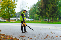 CEDRUS DM03 2w1 ODKURZACZ SPALINOWY OGRODOWY DMUCHAWA DO LIŚCI - OFICJALNY DYSTRYBUTOR - AUTORYZOWANY DEALER CEDRUS