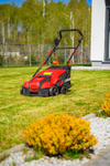 CEDRUS WE40 WERTYKULATOR DO TRAWY AREATOR 2w1 AERATOR + 2 WAŁKI 2000W / 40cm CEDWE40 - EWIMAX - OFICJALNY DYSTRYBUTOR - AUTORYZOWANY DEALER CEDRUS