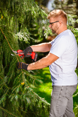 Cedrus cordless pruner with battery and charger CEDBPB40LI-SET CEDBPB40LI-SET