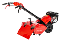 Glebogryzarka z napędem Cedrus GLX-GT65-2BS 6,5KM silnik Briggs