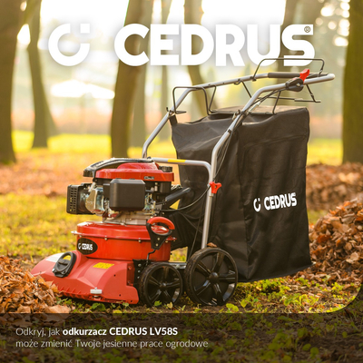 CEDRUS LV58 S PROFESIONÁLNÍ ZAHRADNÍ ČISTIČ LISTŮ 4 v 1 + VERTIKULÁTOR KOLOVÝ POHYBLIVÝ POHON 2v1 LV58S - OFICIÁLNÍ DISTRIBUTOR - AUTORIZOVANÝ PRODEJCE CEDRUS