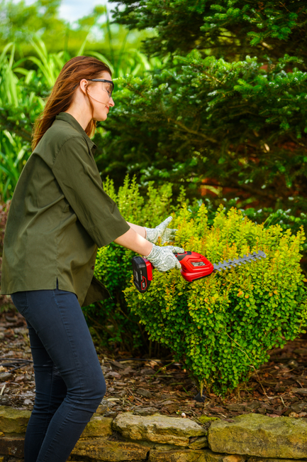 Nożyce akumulatorowe Cedrus CEDGS100LI CEDGS100LI