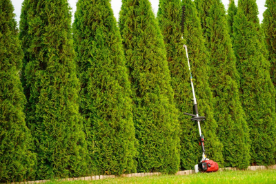 CEDRUS UW520 PETROL LAWN MOWER CHAINSAW PRUNER MULTI-PURPOSE MACHINE TRIMMER MOWER 1.8 KM 