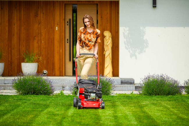 WEIBANG WB455SC 3W1 MOTORIZED VERTICAL MOWER 3.5 HP / 45cm - OFFICIAL DISTRIBUTOR - AUTHORIZED WEIBANG DEALER