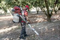 CIFARELLI V1200B CHESTNUT ACORN HOOVER PROFI PROFESSIONAL - OFICIÁLNÍ DISTRIBUTOR - AUTORIZOVANÝ PRODEJCE CIFARELLI