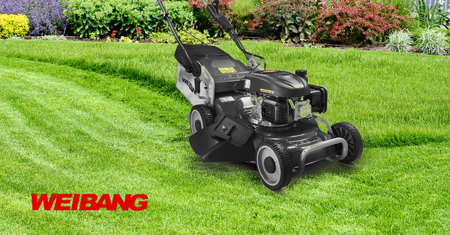 WEIBANG WB537SC V 3IN1 BBC MOTORIZED PETROL MOWER 6.5 HP / 53cm - OFFICIAL DISTRIBUTOR - AUTHORIZED WEIBANG DEALER